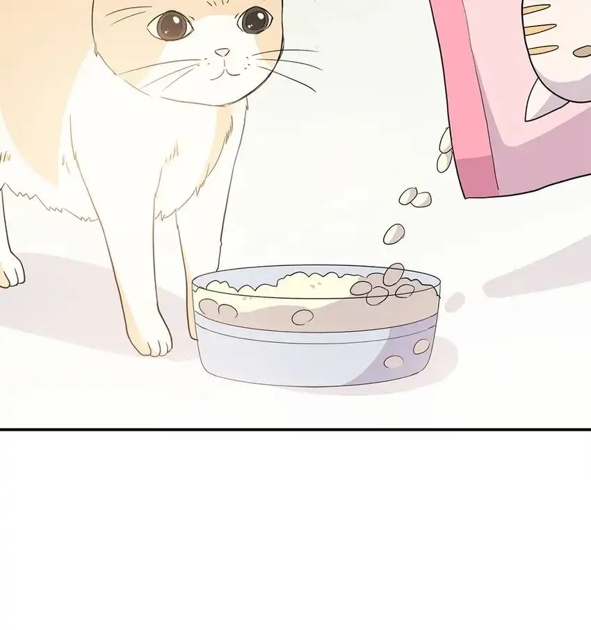 Legal Cohabitation Chapter 95 - page 28