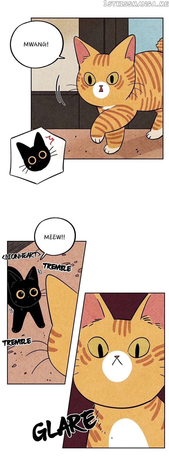 The Tale Of Goldiluck, The Black Kitten chapter 37 - page 10