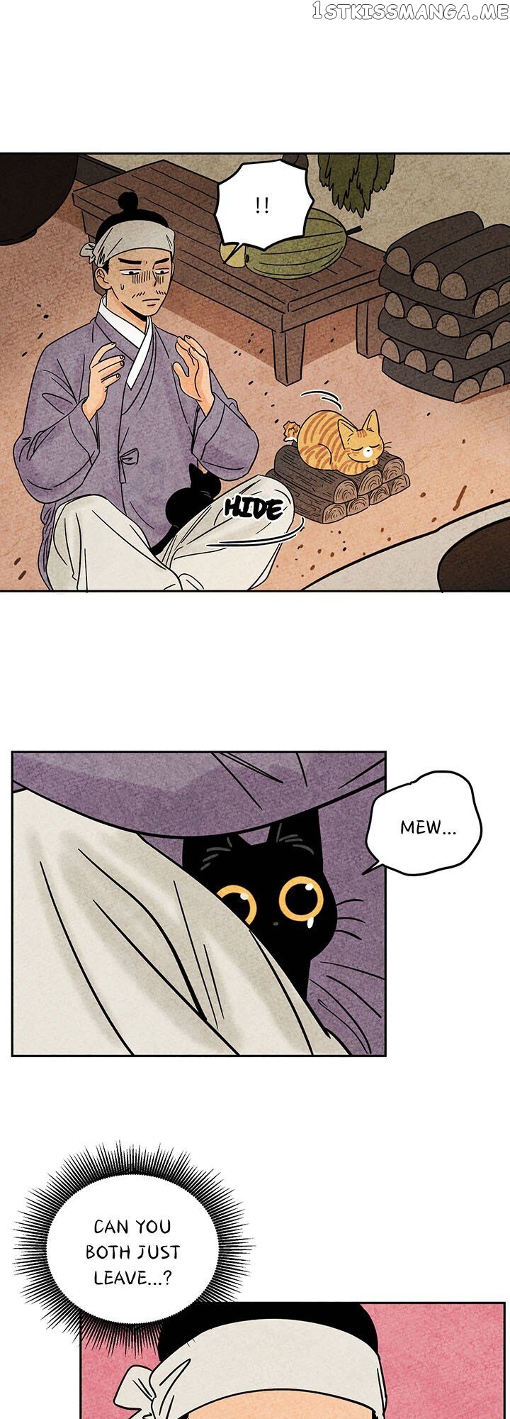 The Tale Of Goldiluck, The Black Kitten chapter 37 - page 11