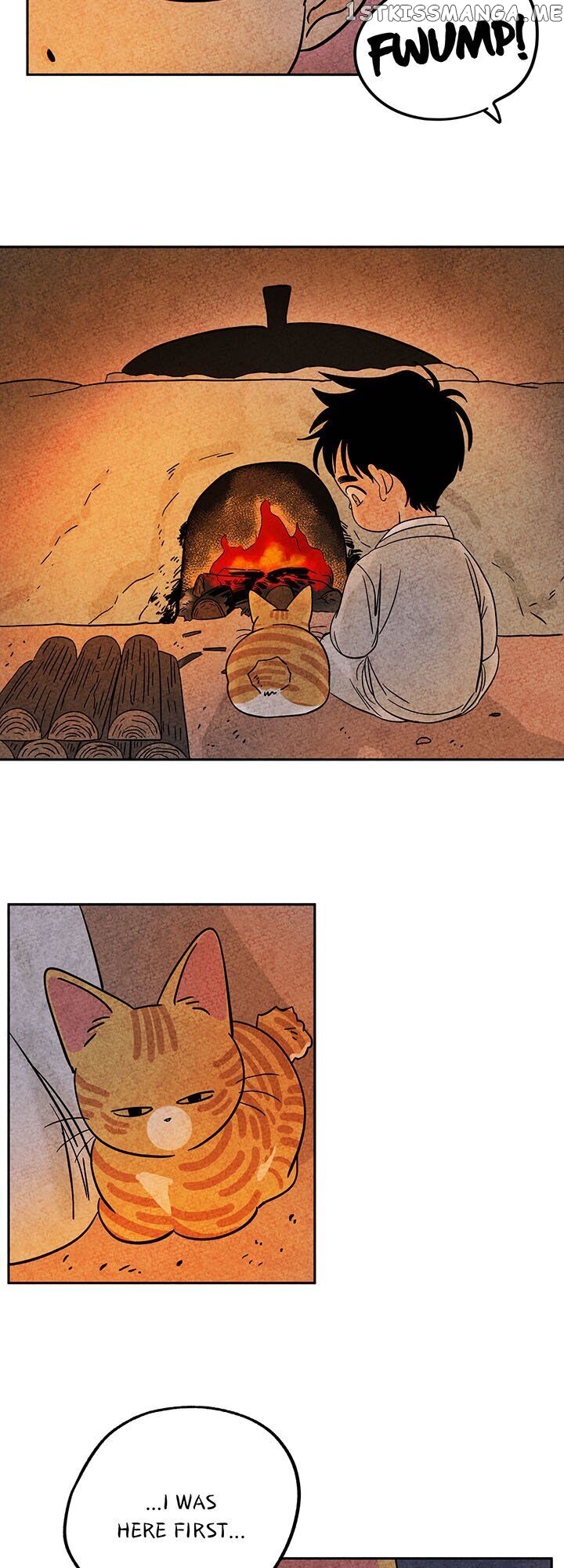 The Tale Of Goldiluck, The Black Kitten chapter 37 - page 21