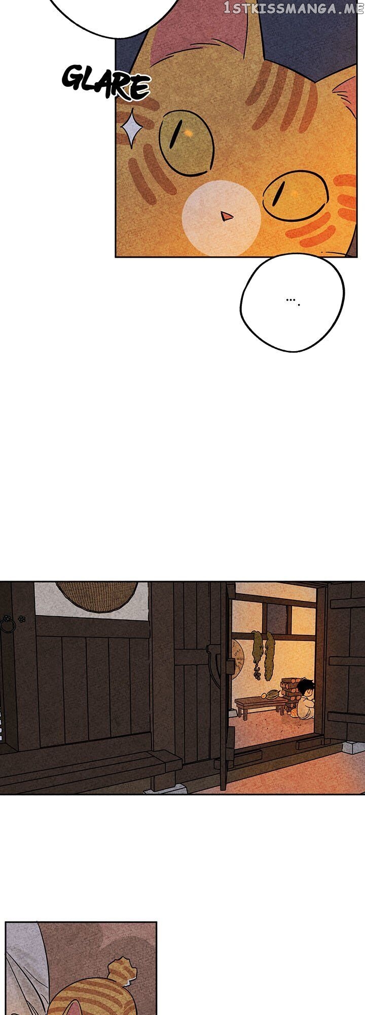 The Tale Of Goldiluck, The Black Kitten chapter 37 - page 22