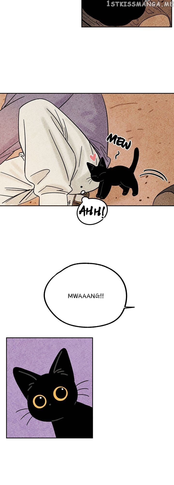 The Tale Of Goldiluck, The Black Kitten chapter 37 - page 9