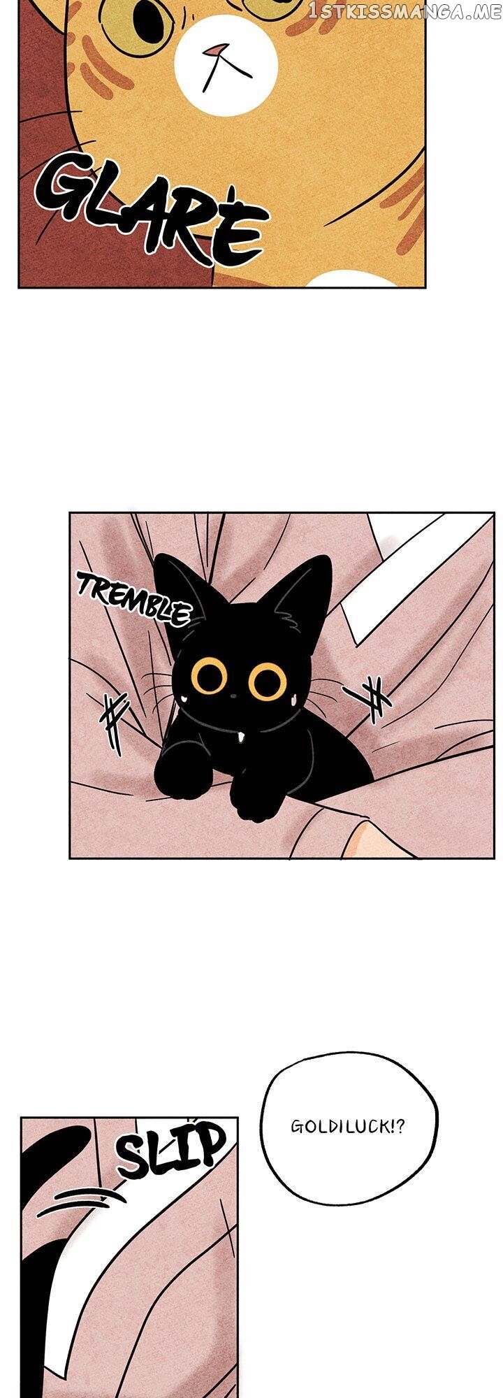 The Tale Of Goldiluck, The Black Kitten chapter 36 - page 23