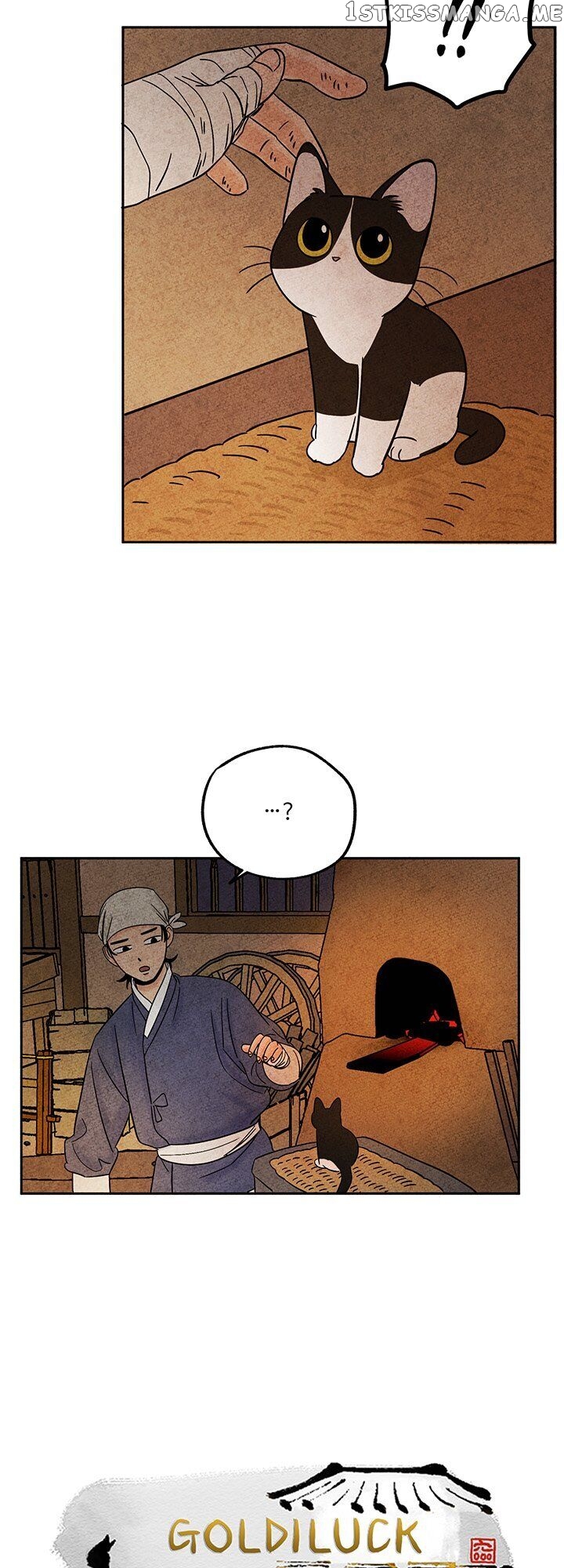 The Tale Of Goldiluck, The Black Kitten chapter 33 - page 3