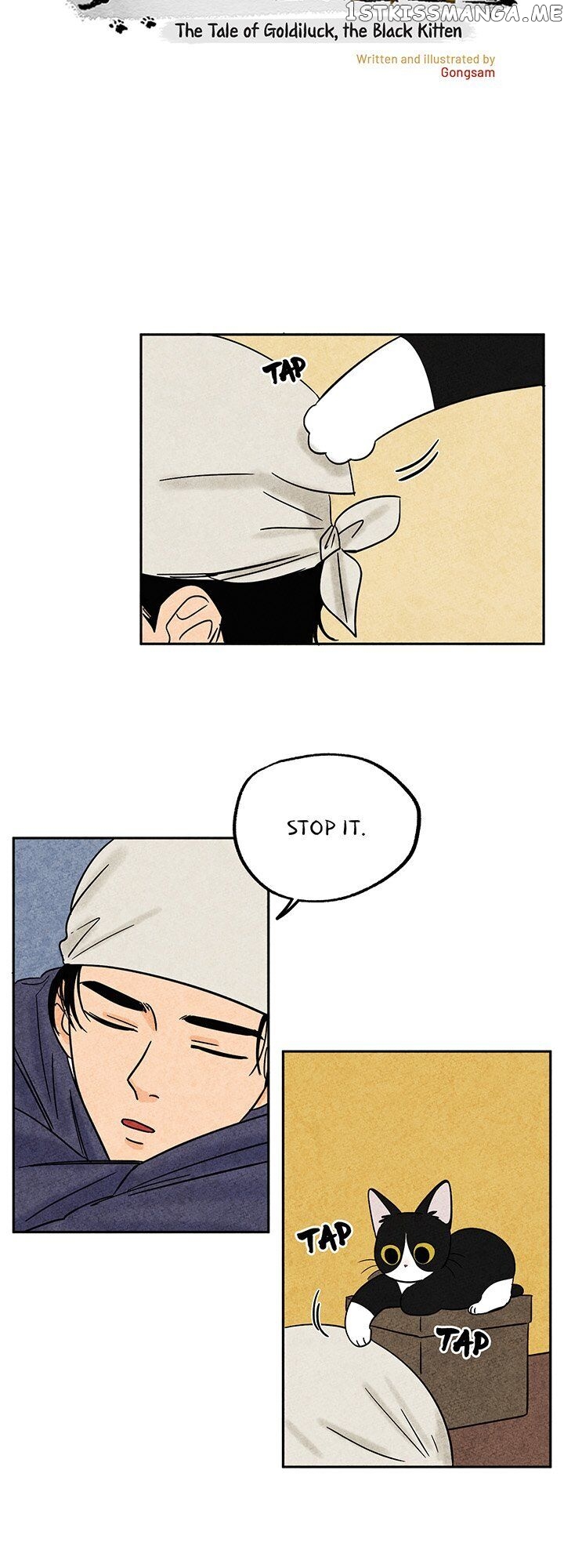 The Tale Of Goldiluck, The Black Kitten chapter 33 - page 4