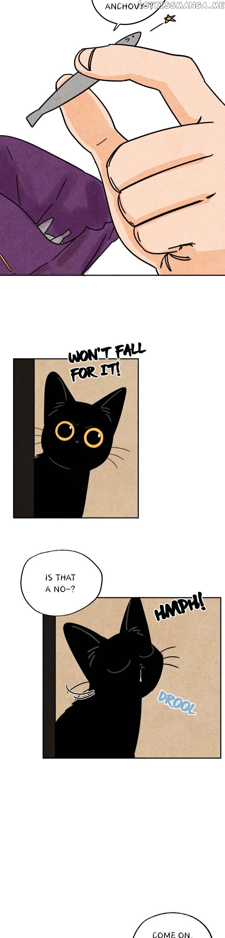 The Tale Of Goldiluck, The Black Kitten chapter 26 - page 12