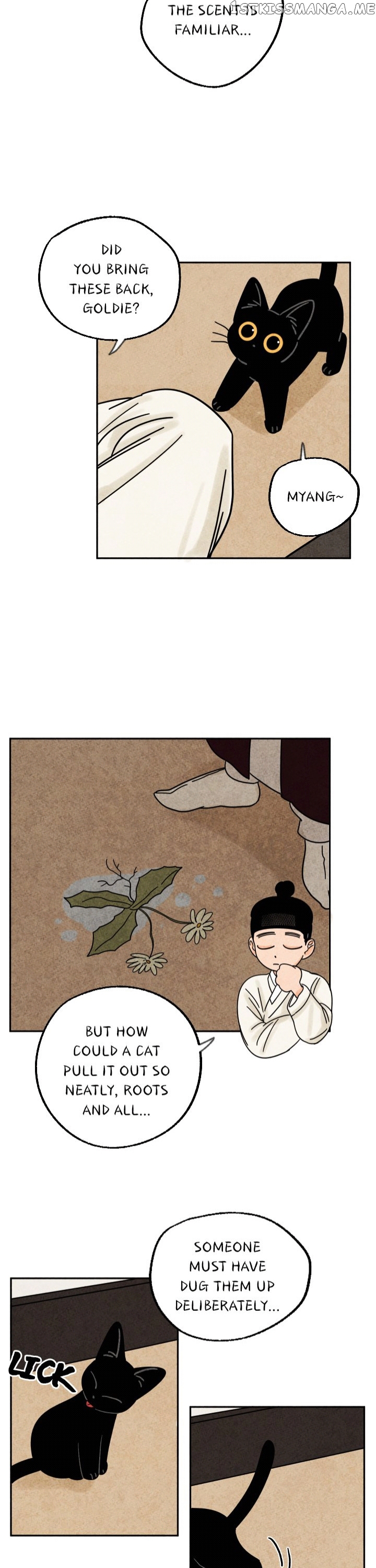 The Tale Of Goldiluck, The Black Kitten chapter 25 - page 11
