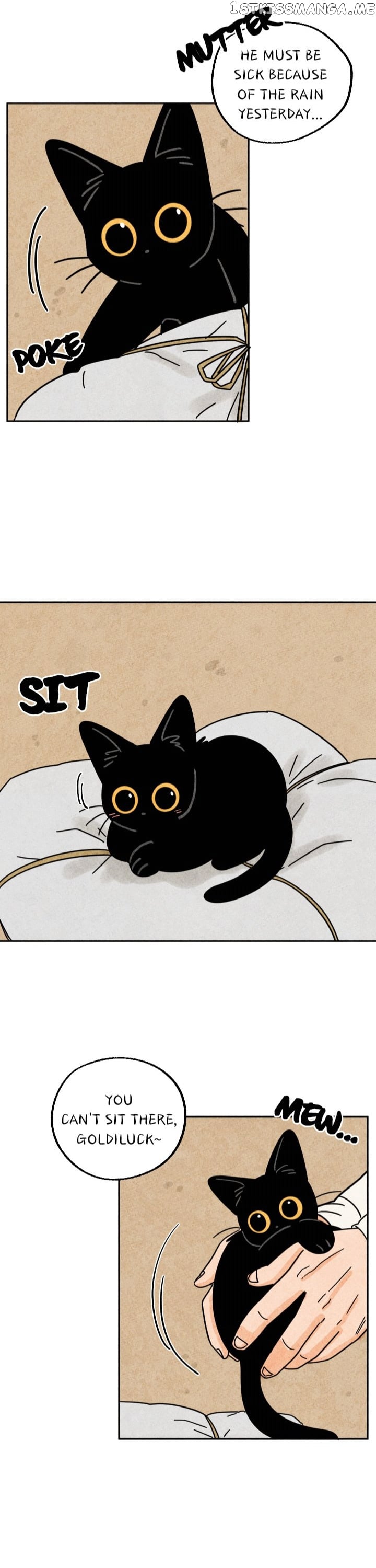The Tale Of Goldiluck, The Black Kitten chapter 25 - page 18