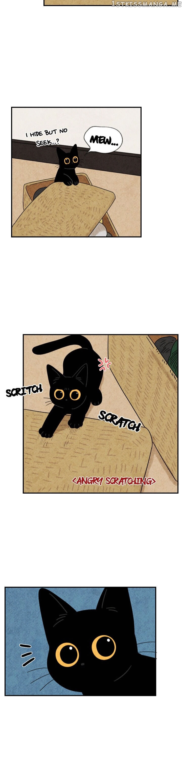 The Tale Of Goldiluck, The Black Kitten chapter 21 - page 12