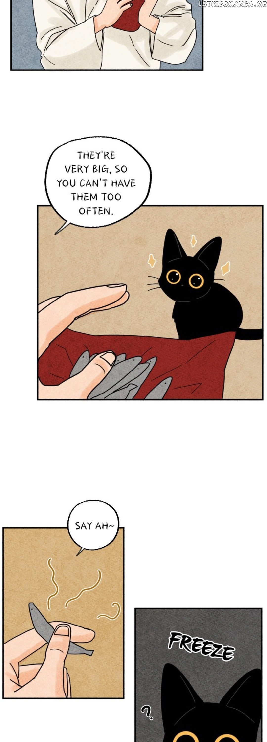 The Tale Of Goldiluck, The Black Kitten chapter 16 - page 19