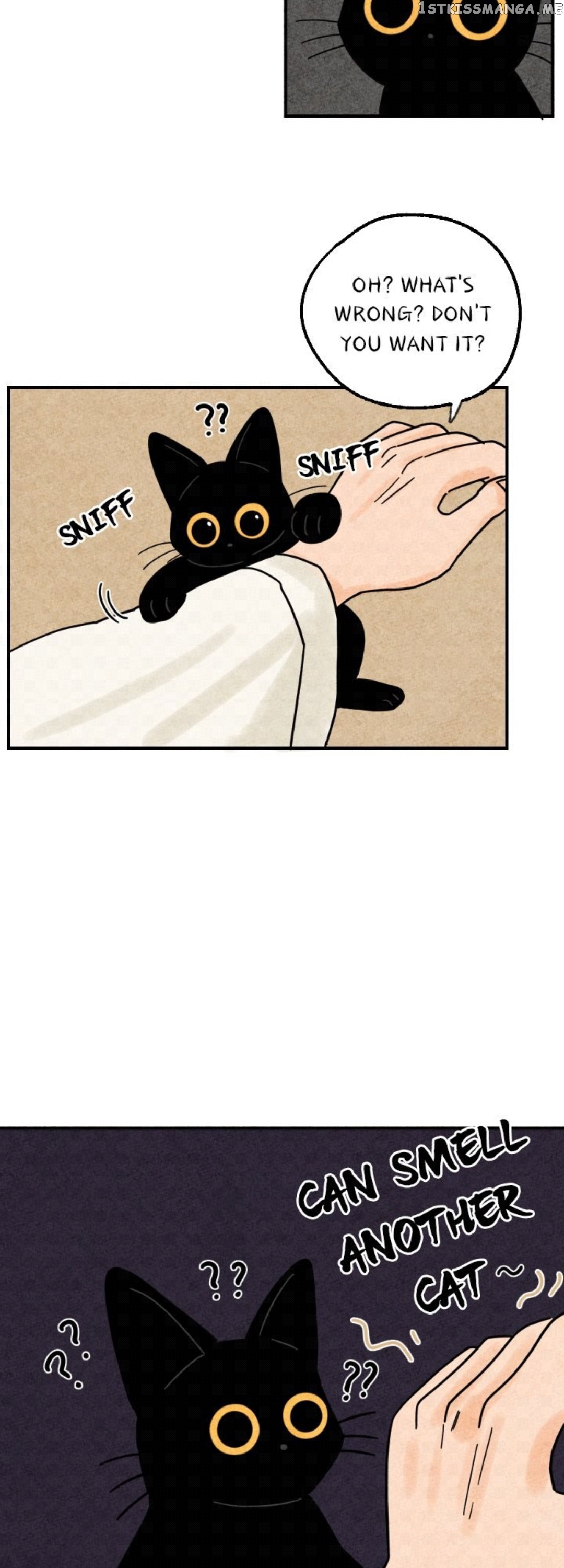 The Tale Of Goldiluck, The Black Kitten chapter 16 - page 20