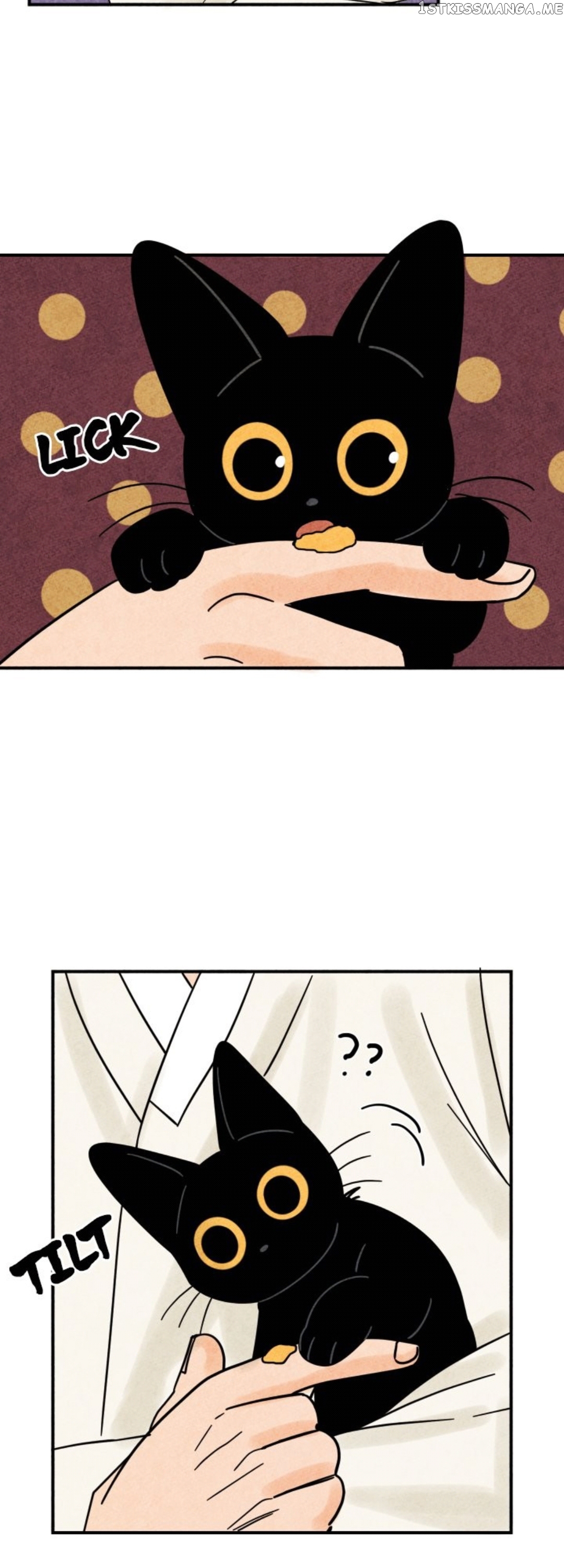 The Tale Of Goldiluck, The Black Kitten chapter 13 - page 15