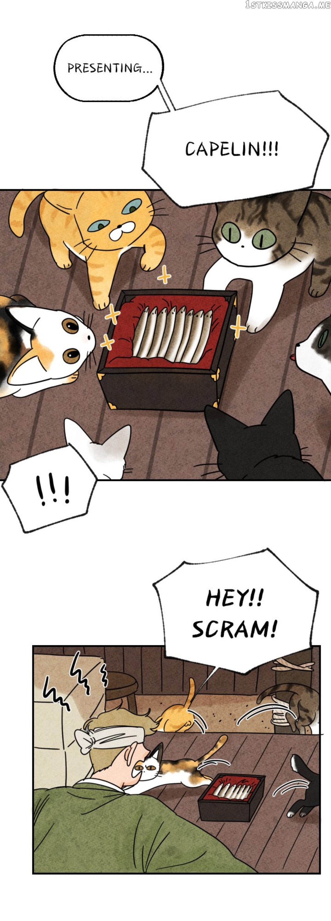 The Tale Of Goldiluck, The Black Kitten chapter 13 - page 27