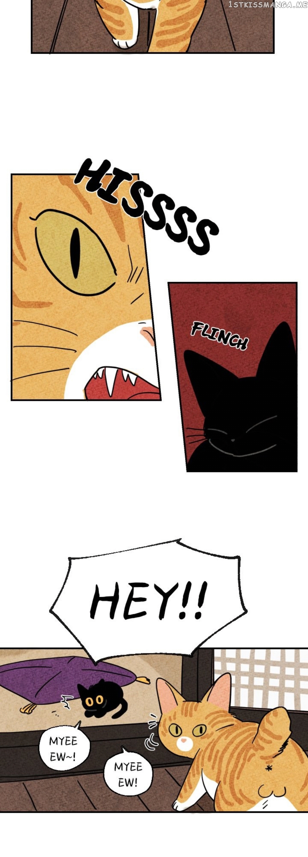 The Tale Of Goldiluck, The Black Kitten chapter 9 - page 25