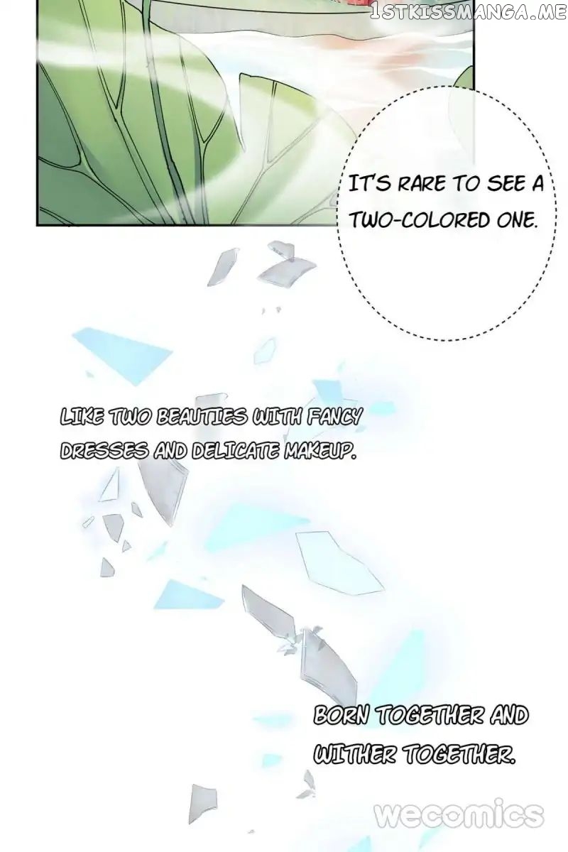 The Wonders of Aromatics chapter 21 - page 7