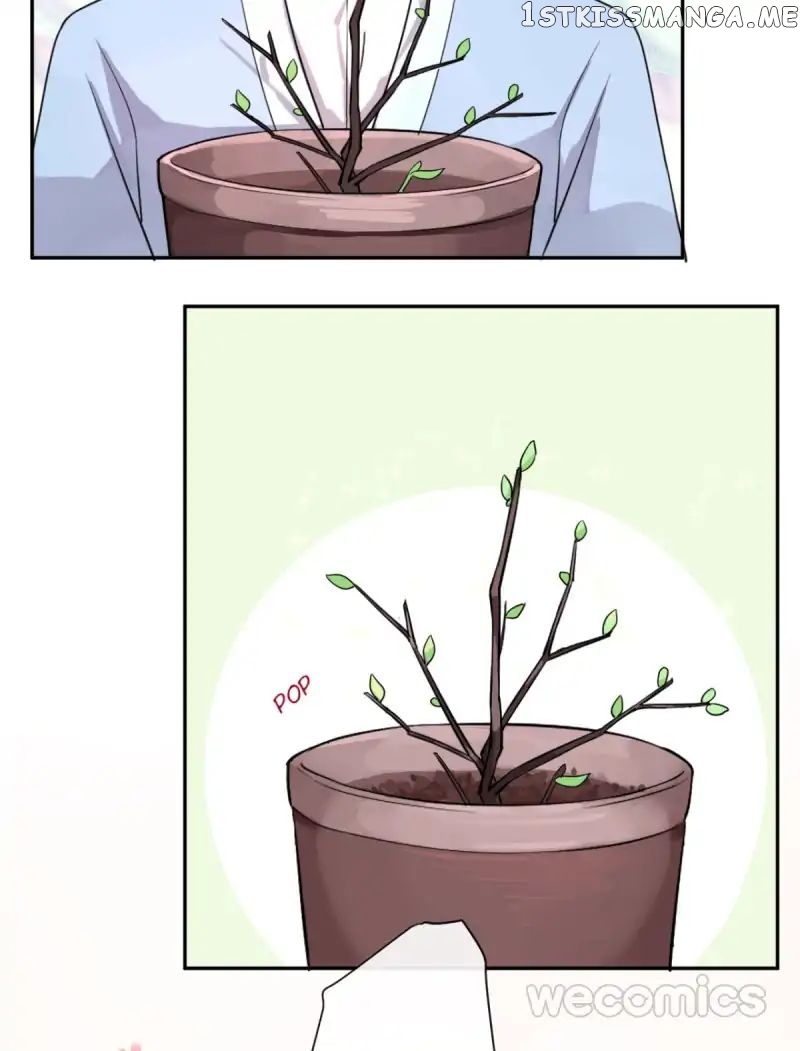 The Wonders of Aromatics chapter 1 - page 41