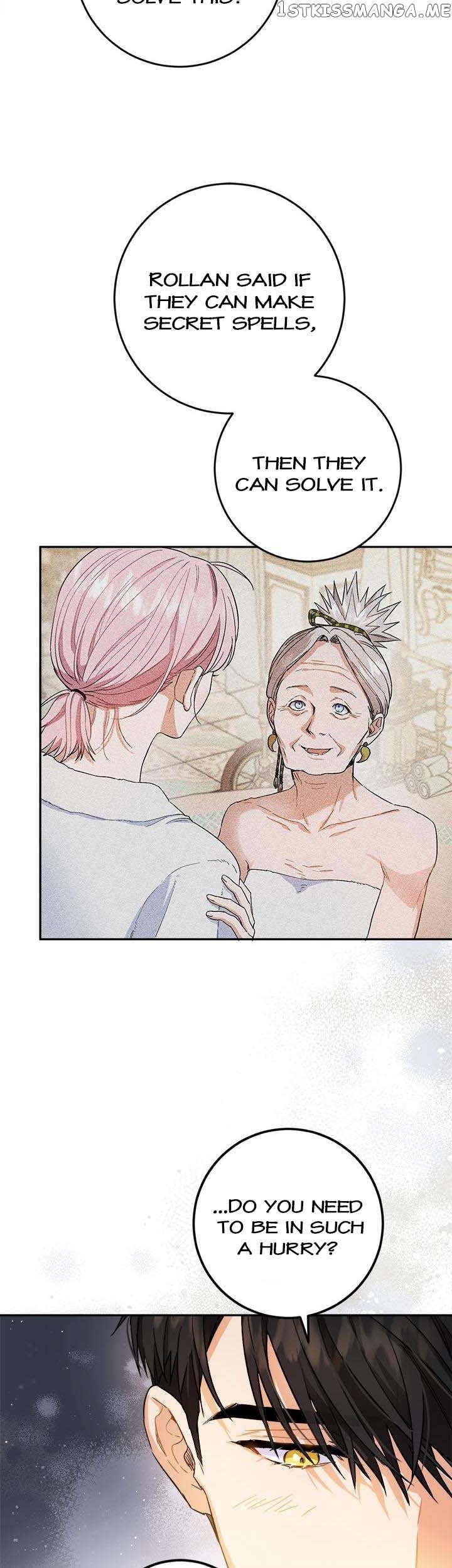 The Heiress's Double Life Chapter 72 - page 19