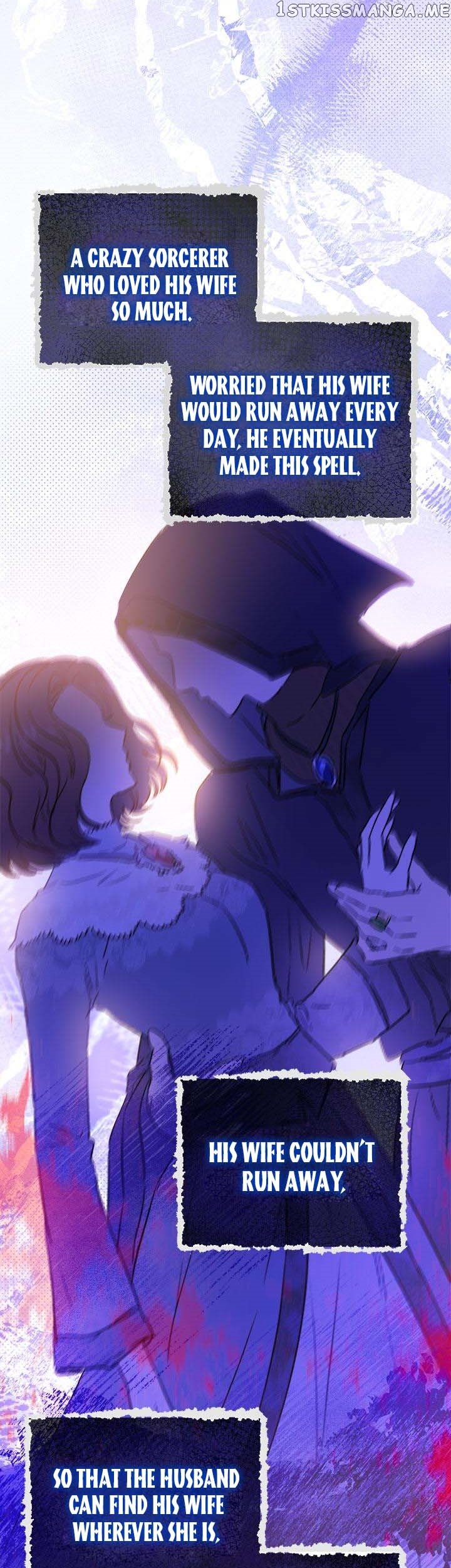 The Heiress's Double Life Chapter 72 - page 27