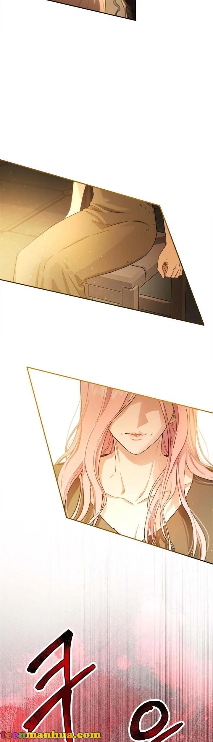 The Heiress's Double Life Chapter 71 - page 17