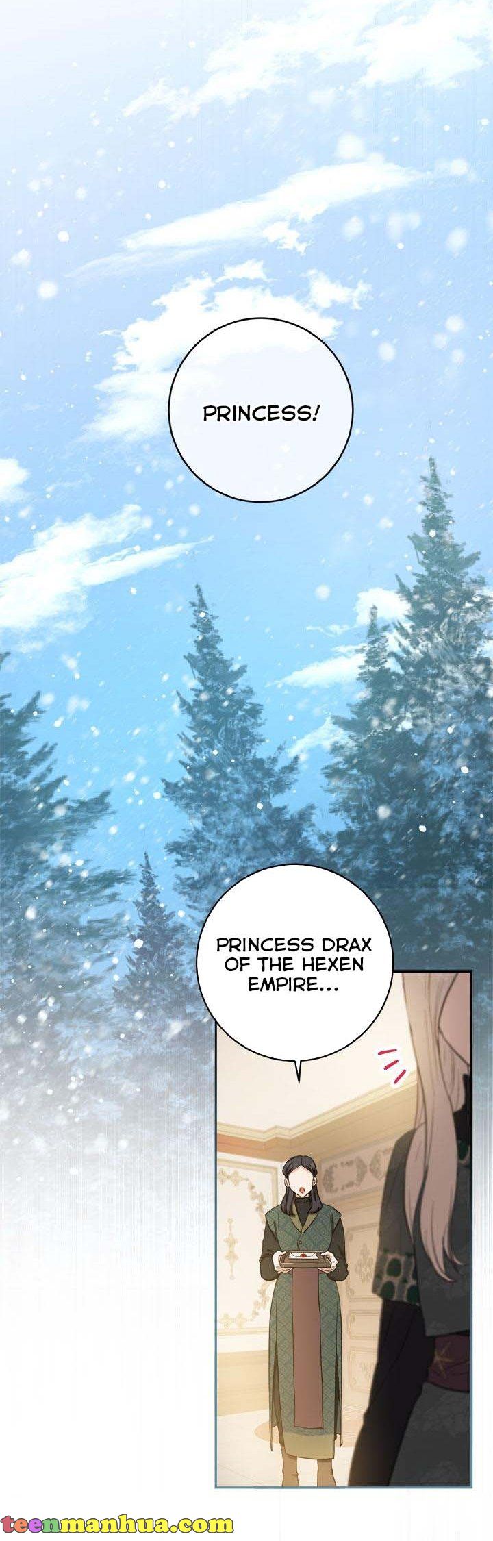 The Heiress's Double Life Chapter 68 - page 28