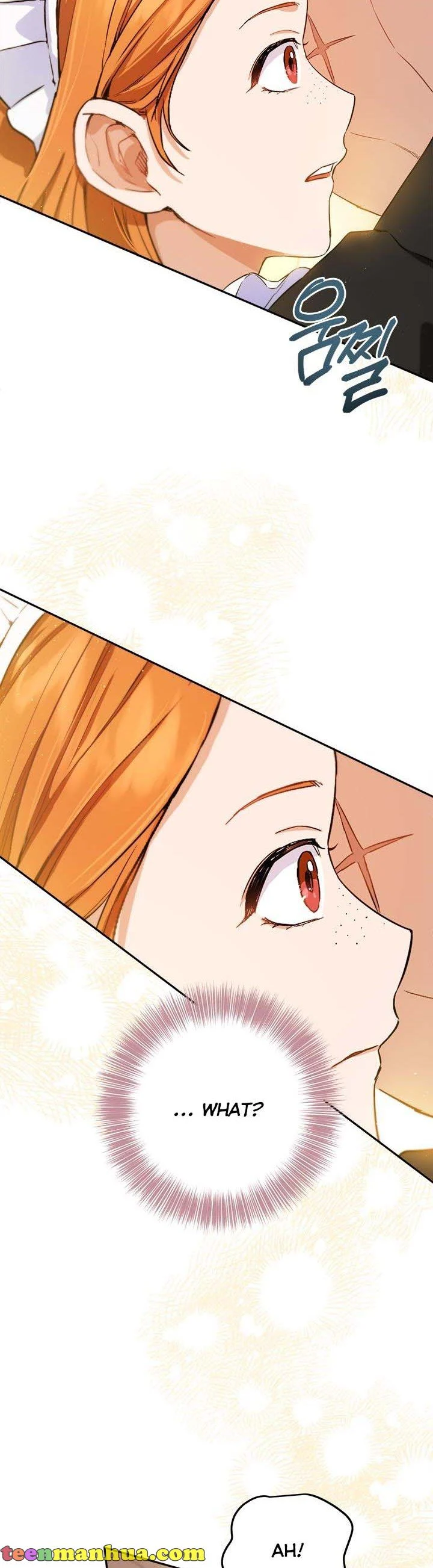 The Heiress's Double Life Chapter 65 - page 21