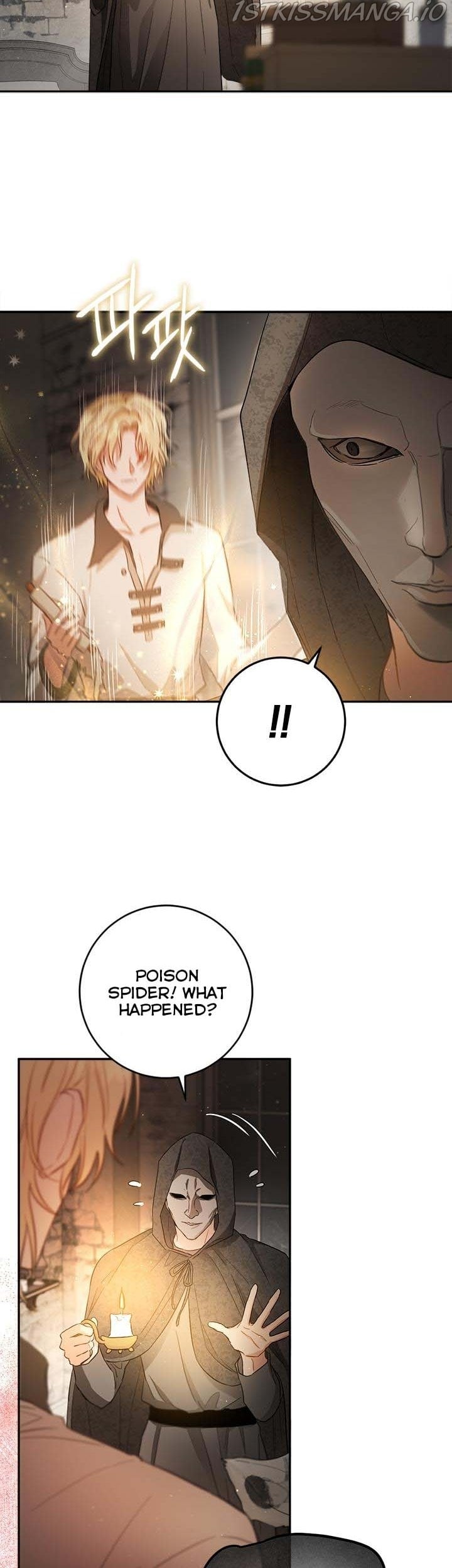 The Heiress's Double Life Chapter 61.5 - page 2