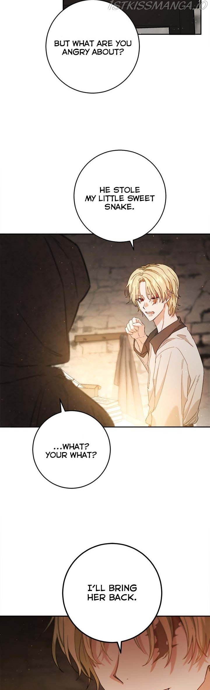 The Heiress's Double Life Chapter 61.5 - page 9