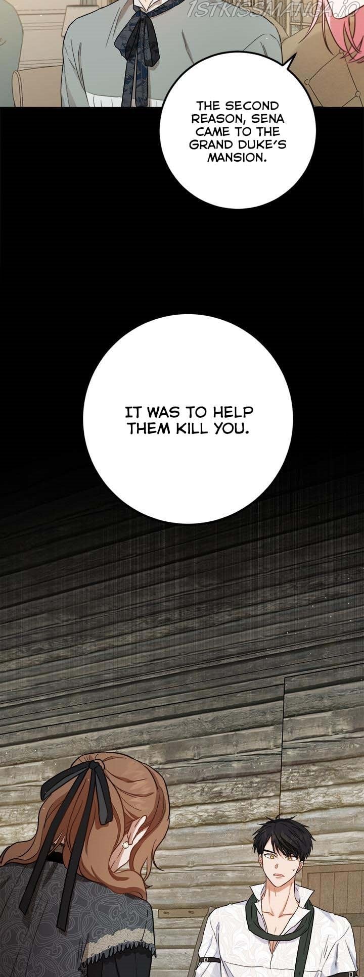 The Heiress's Double Life Chapter 57.5 - page 5
