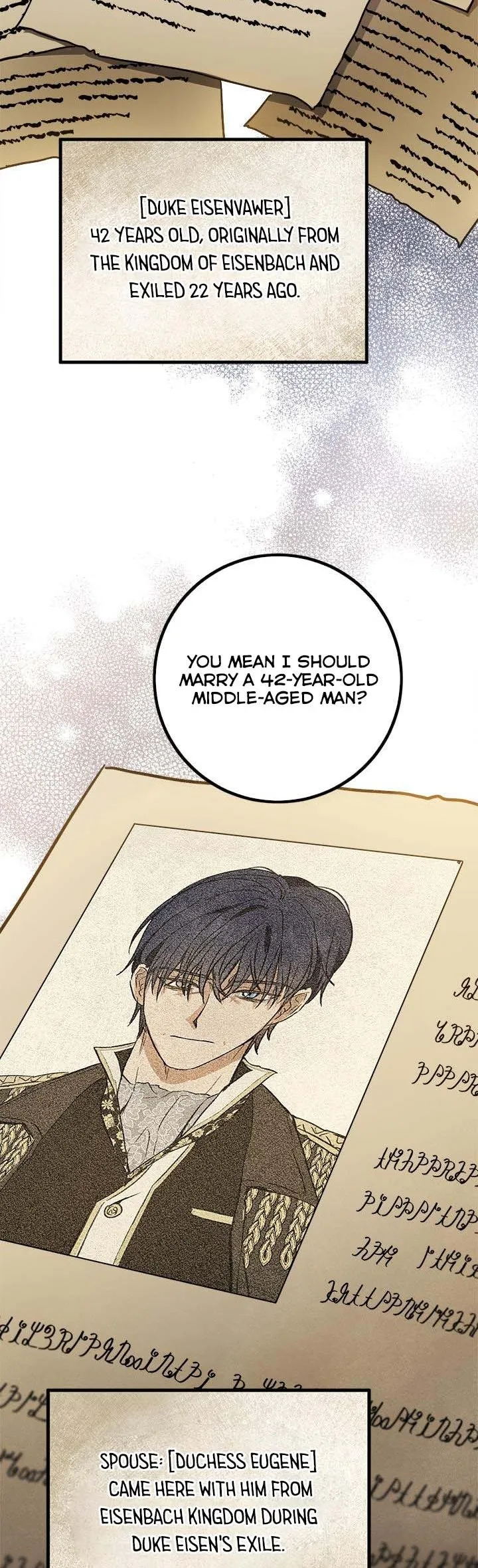 The Heiress's Double Life Chapter 55.5 - page 4