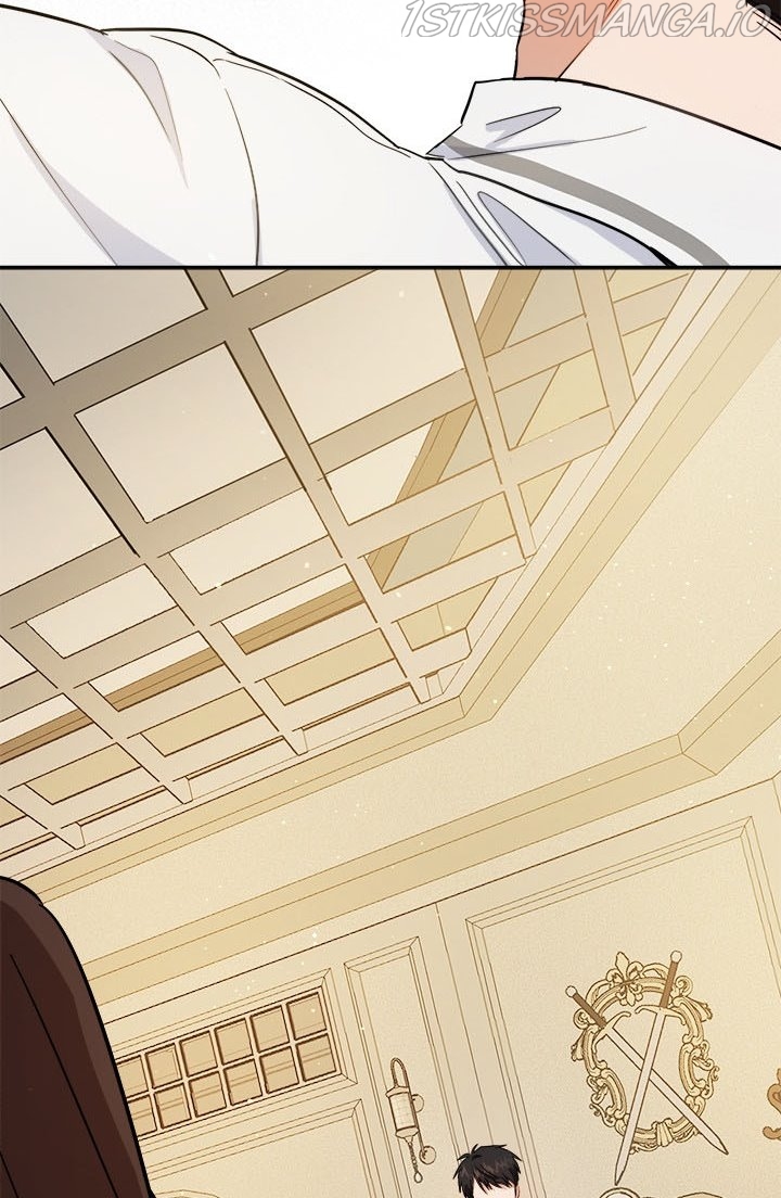 The Heiress's Double Life Chapter 50.5 - page 19