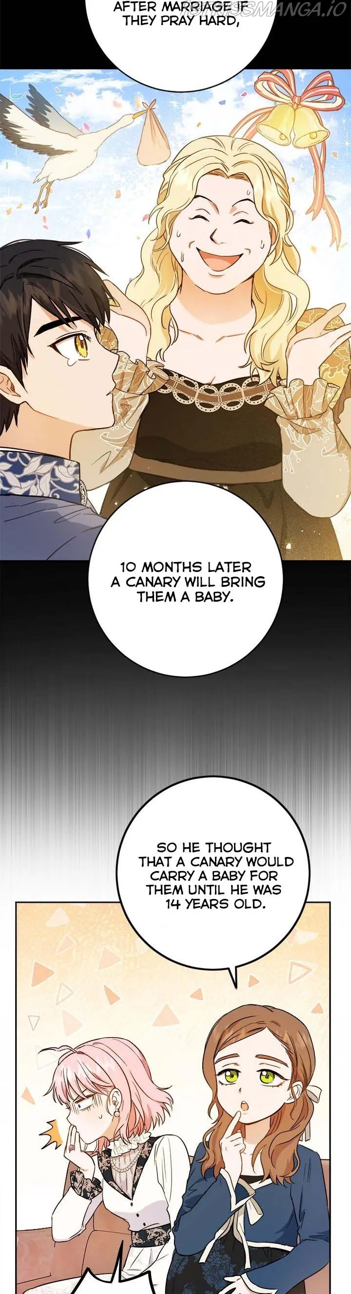 The Heiress's Double Life Chapter 48 - page 11