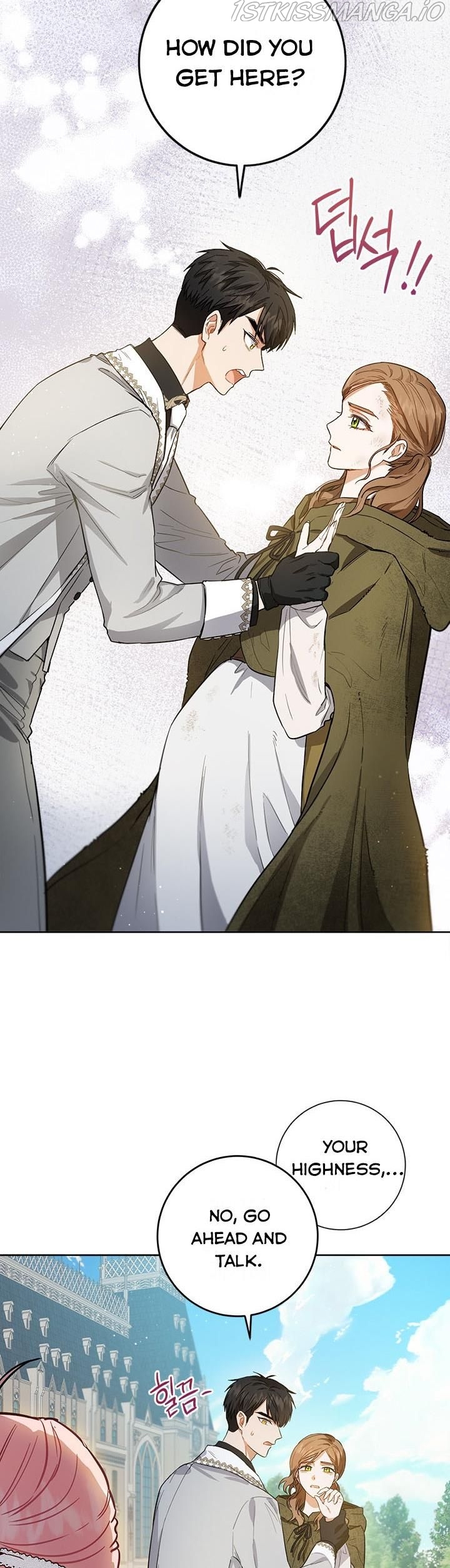 The Heiress's Double Life Chapter 43 - page 12