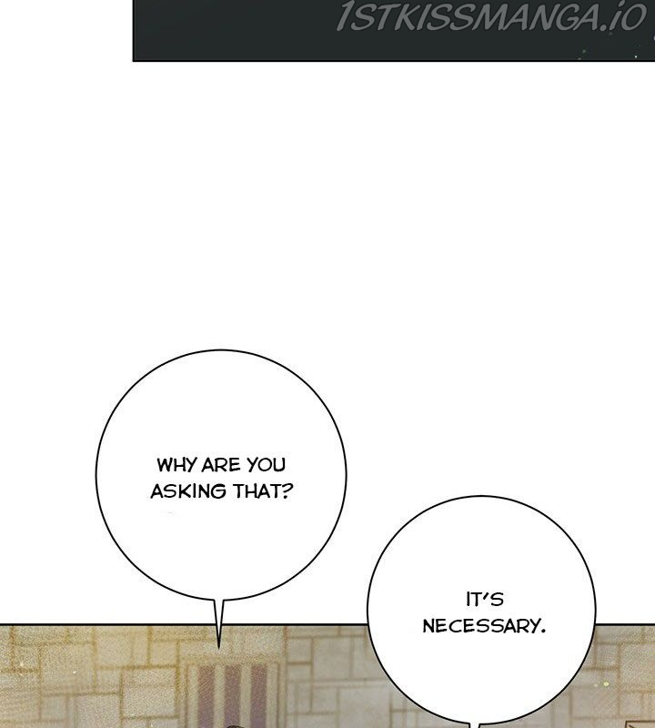 The Heiress's Double Life chapter 17 - page 65