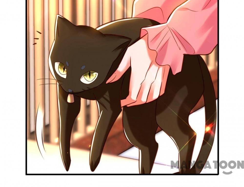 Spicy Wife’s Reborn World chapter 253 - page 38