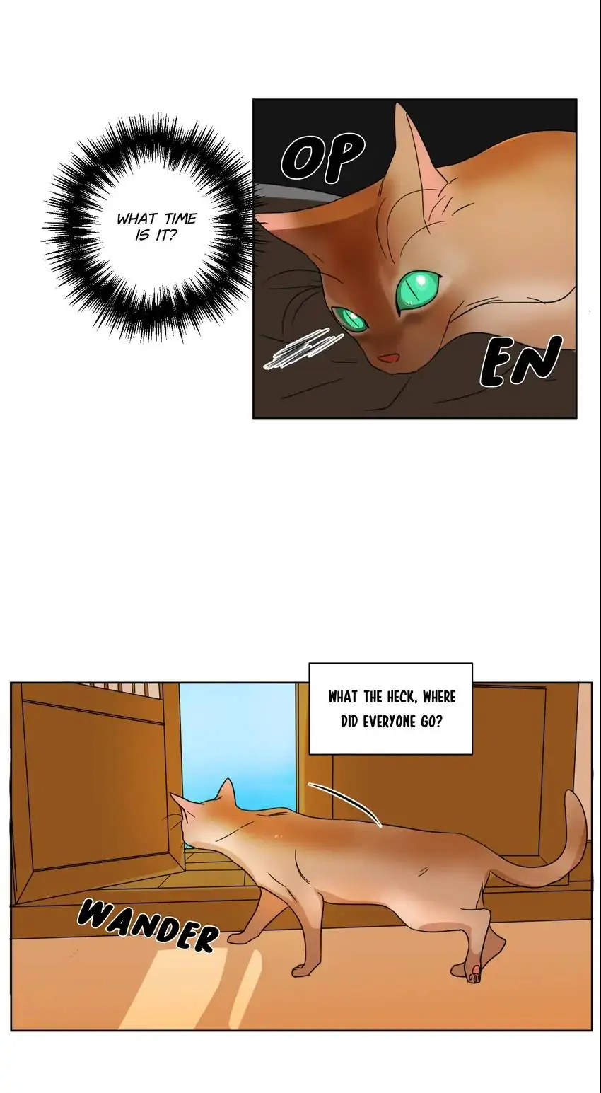 School of Dogs Chapter 39 - page 2
