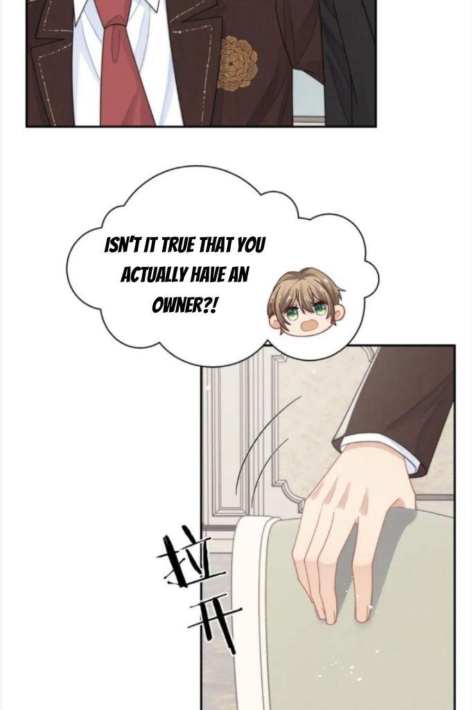 Love Rival is getting Prettier Everyday Chapter 65 - page 41