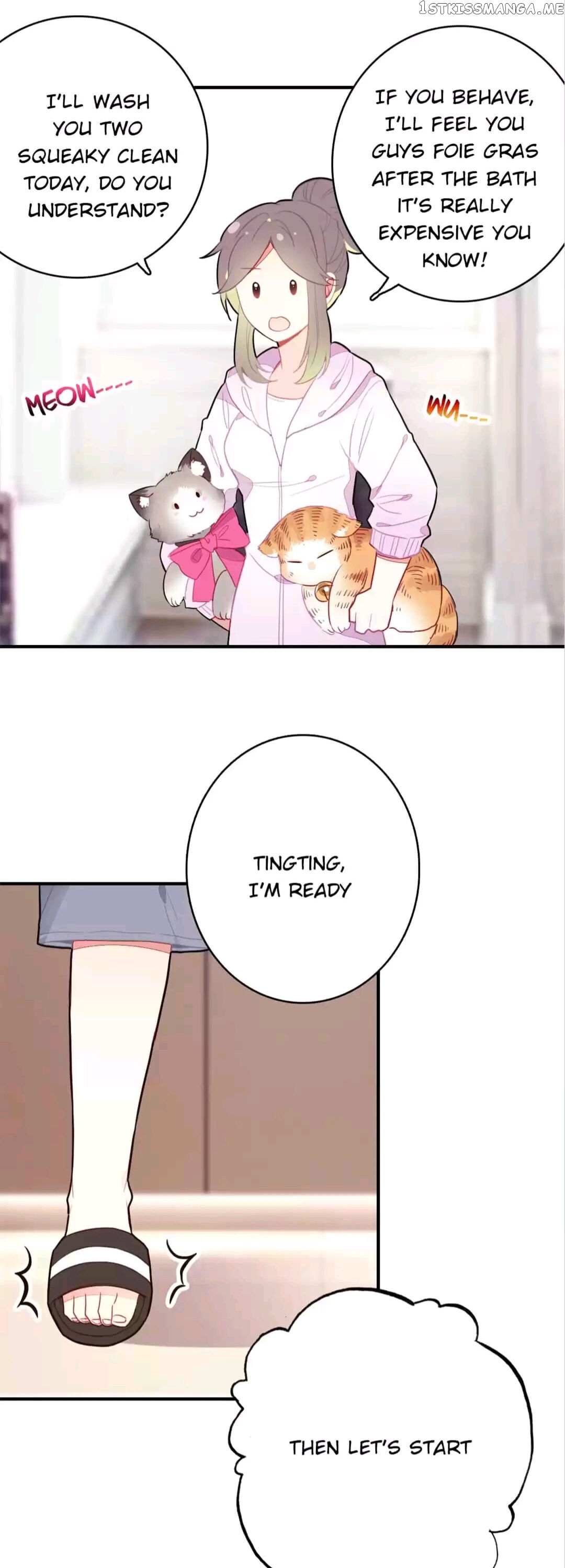 With Cats Only chapter 71 - page 11