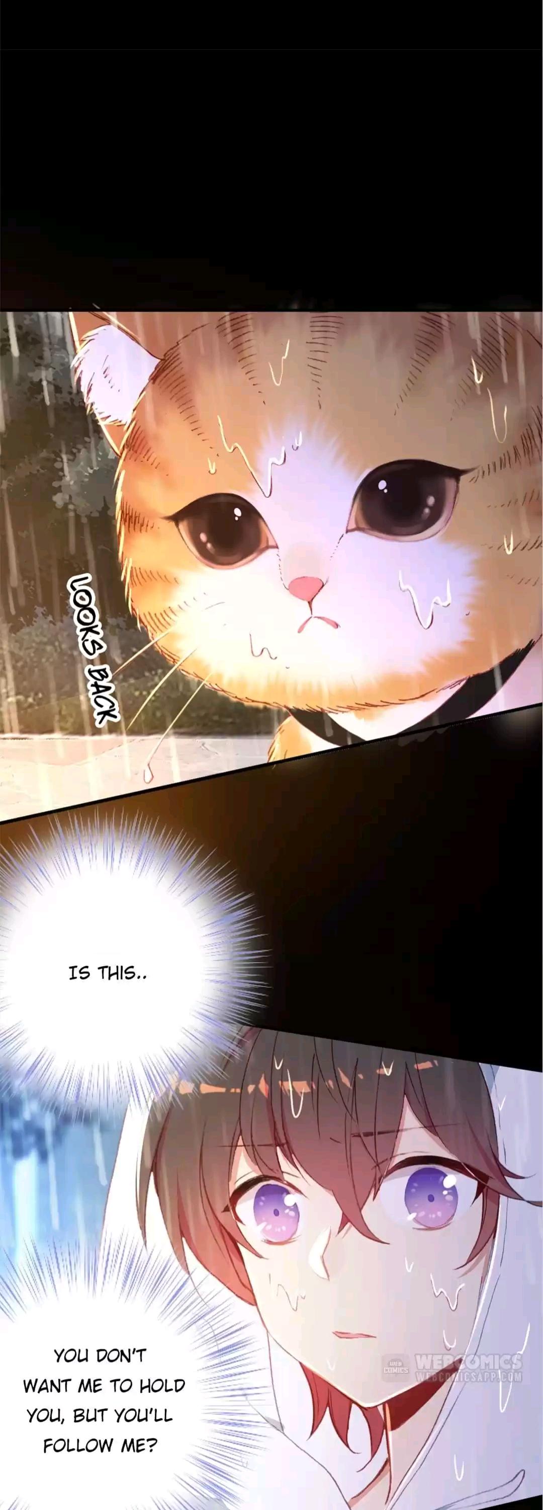With Cats Only Chapter 12 - page 17