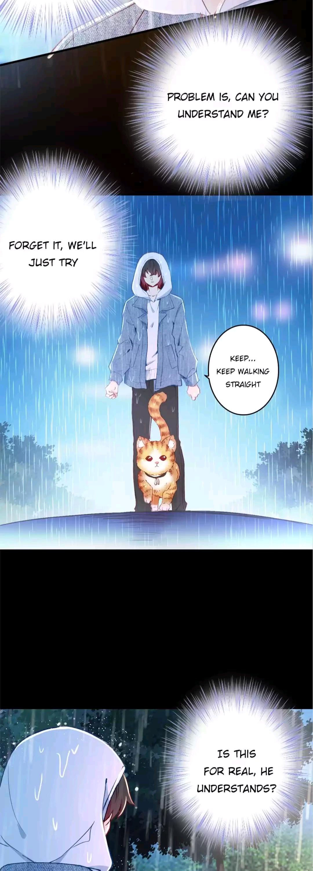 With Cats Only Chapter 12 - page 18