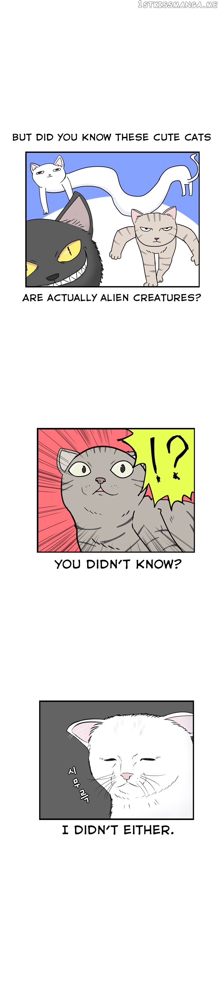 Planet Nya Nya Nya~ chapter 0 - page 2