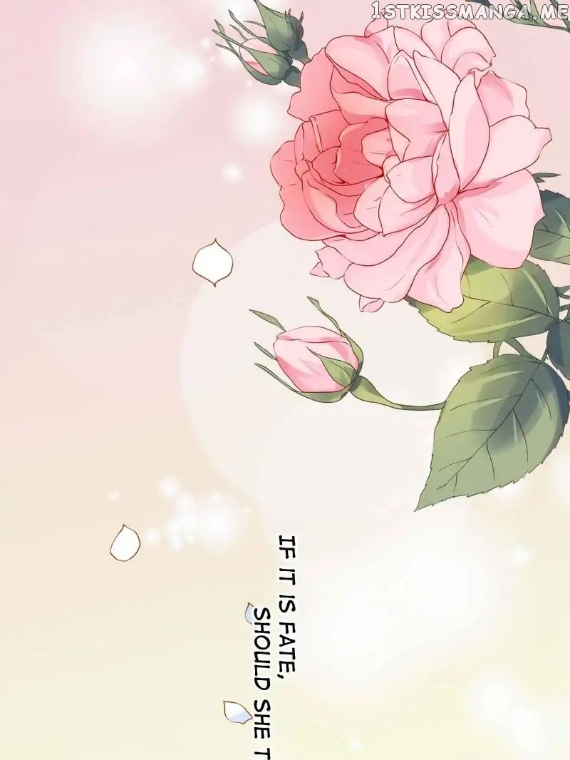 Warlord Husband: Shenshen is Gonna be the Winner chapter 40 - page 36