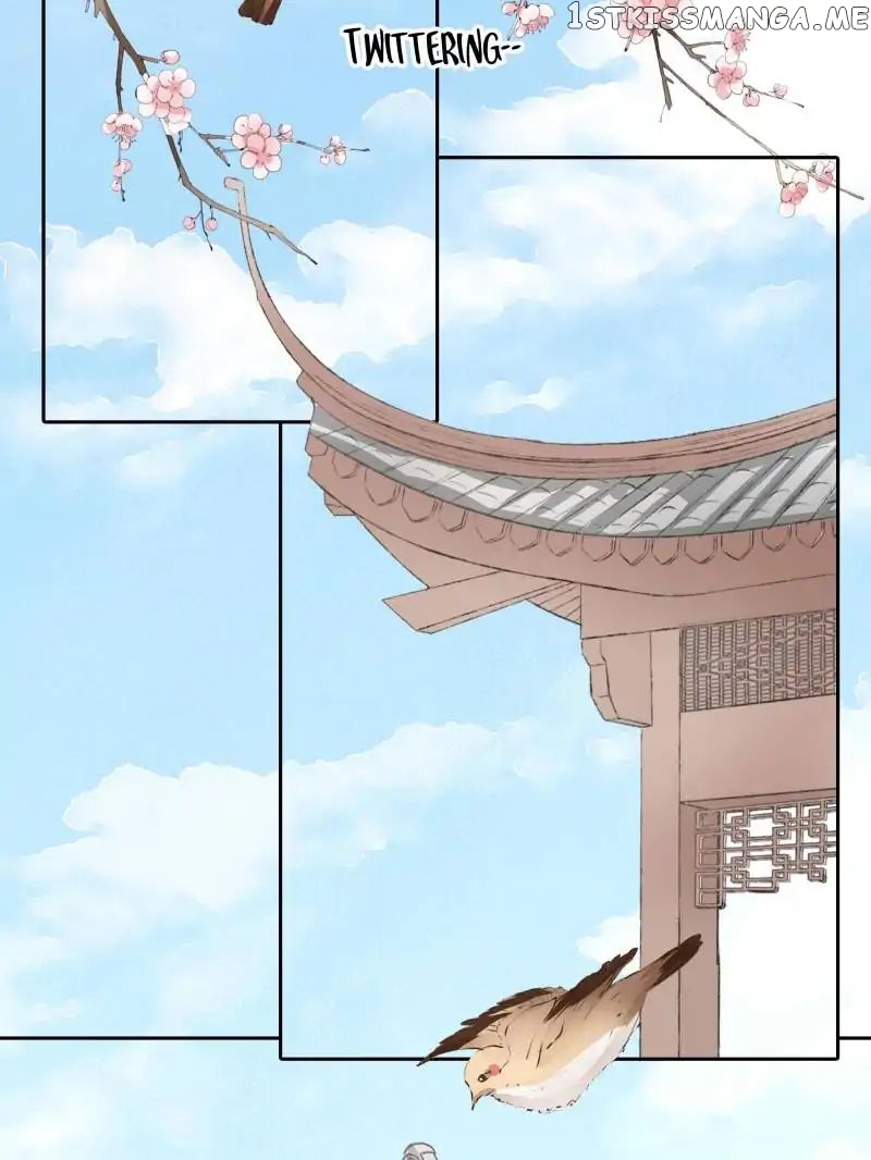 Warlord Husband: Shenshen is Gonna be the Winner chapter 26 - page 2