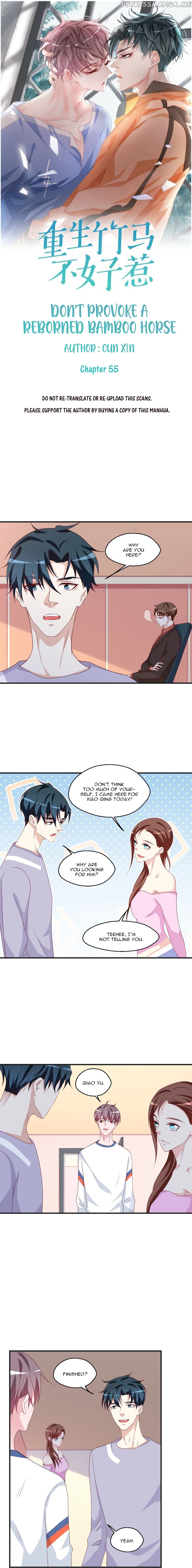Don’t Provoke Reborn-Ed Bamboo Horse chapter 55 - page 3