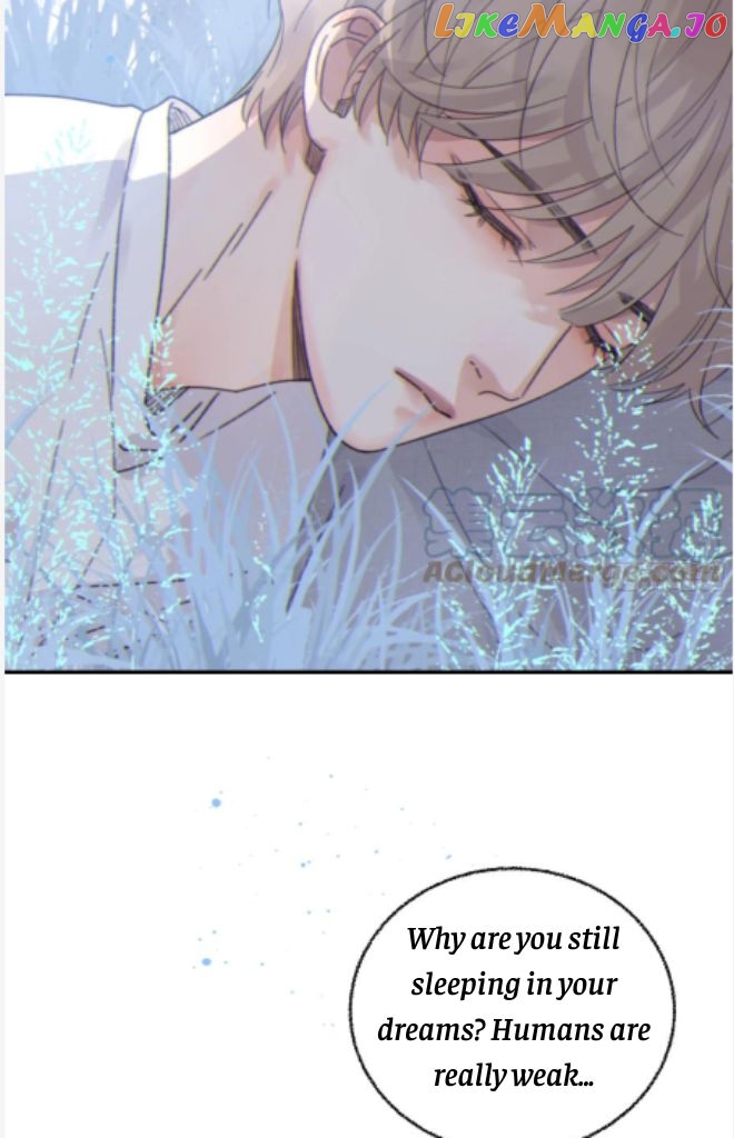 Fall Into A Nightmare With My Devil chapter 14 - page 52