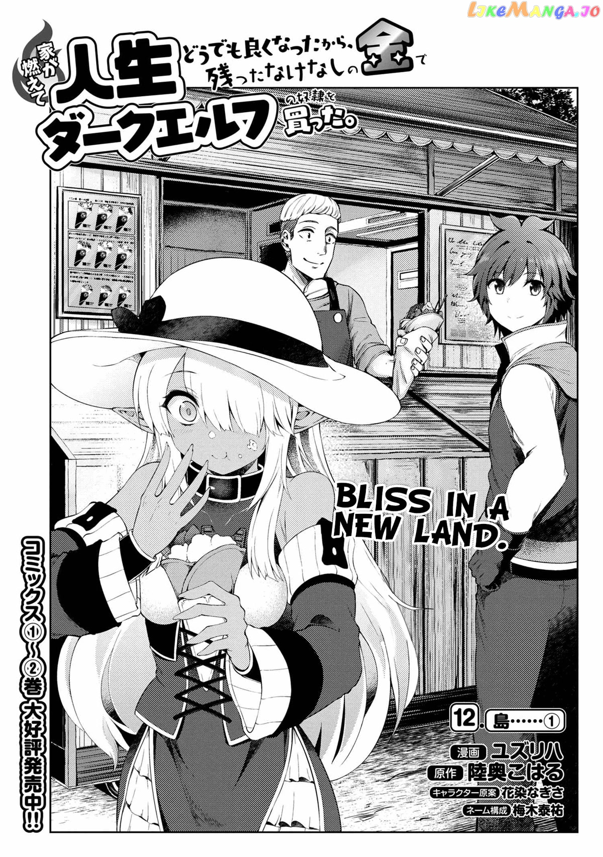 Ie ga Moete Jinsei Dou Demo Yoku Natta kara, Nokotta Nakenashi no Kin de Dark Elf no Dorei o Katta chapter 12.1 - page 2