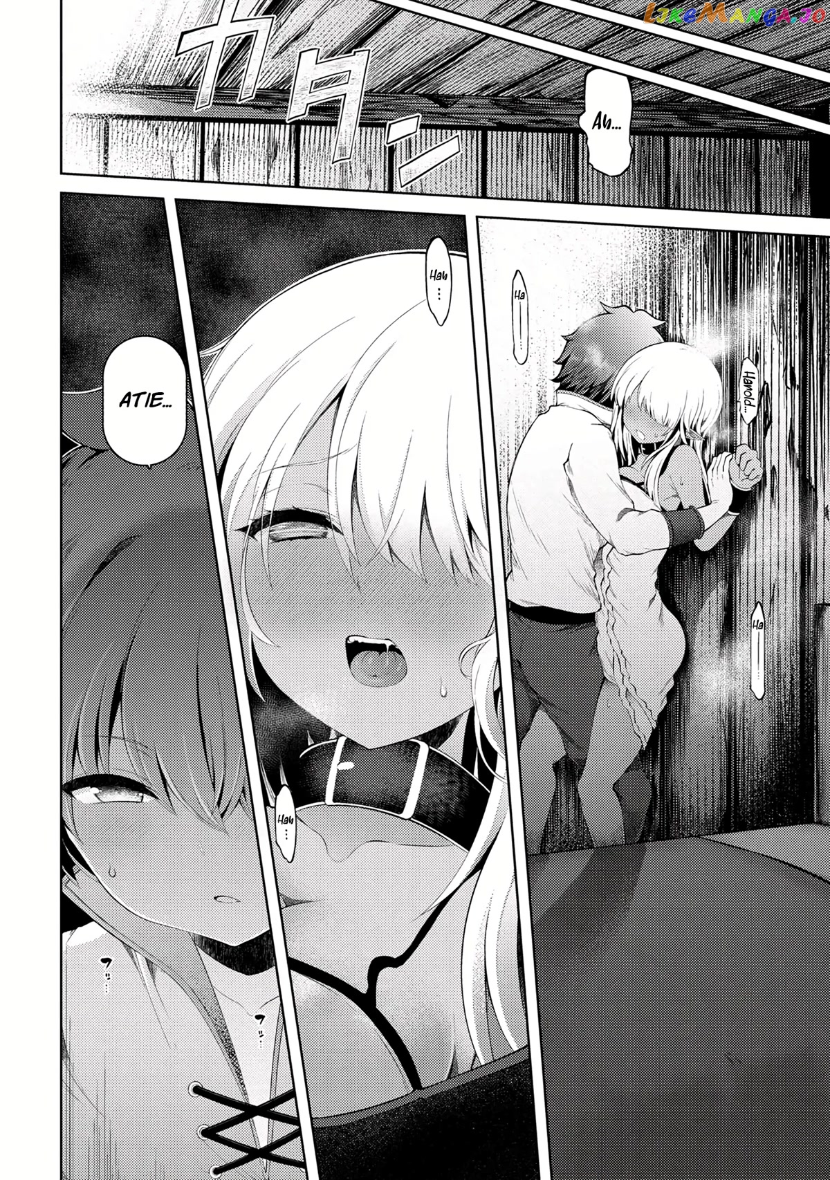 Ie ga Moete Jinsei Dou Demo Yoku Natta kara, Nokotta Nakenashi no Kin de Dark Elf no Dorei o Katta chapter 13.2 - page 15