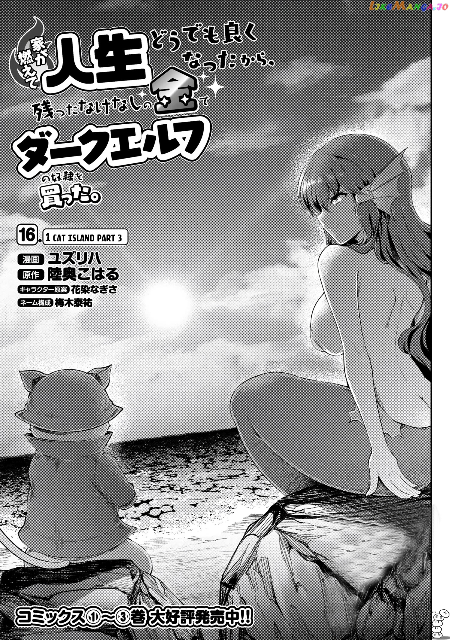 Ie ga Moete Jinsei Dou Demo Yoku Natta kara, Nokotta Nakenashi no Kin de Dark Elf no Dorei o Katta chapter 16.1 - page 2