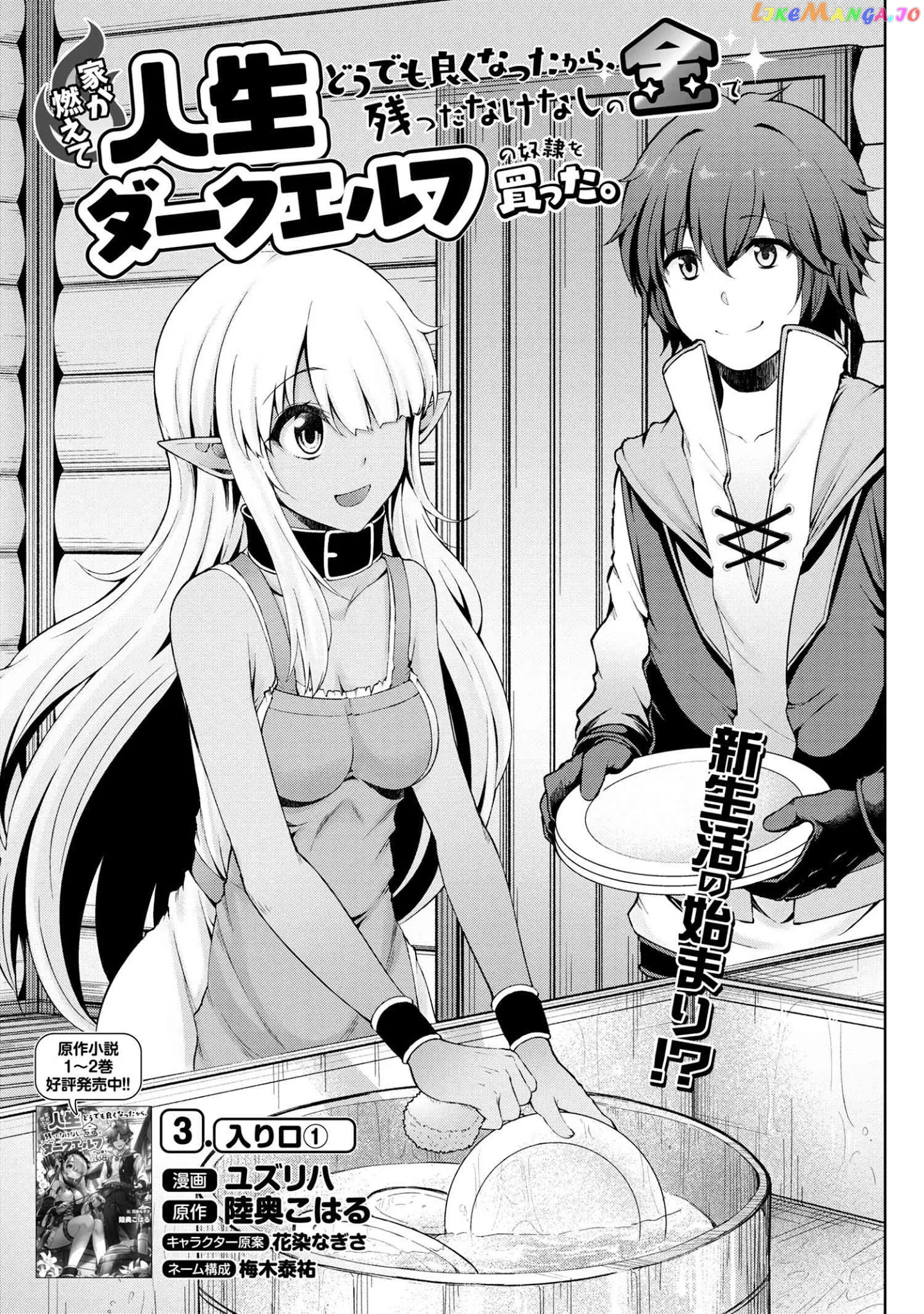Ie ga Moete Jinsei Dou Demo Yoku Natta kara, Nokotta Nakenashi no Kin de Dark Elf no Dorei o Katta chapter 3.1 - page 2