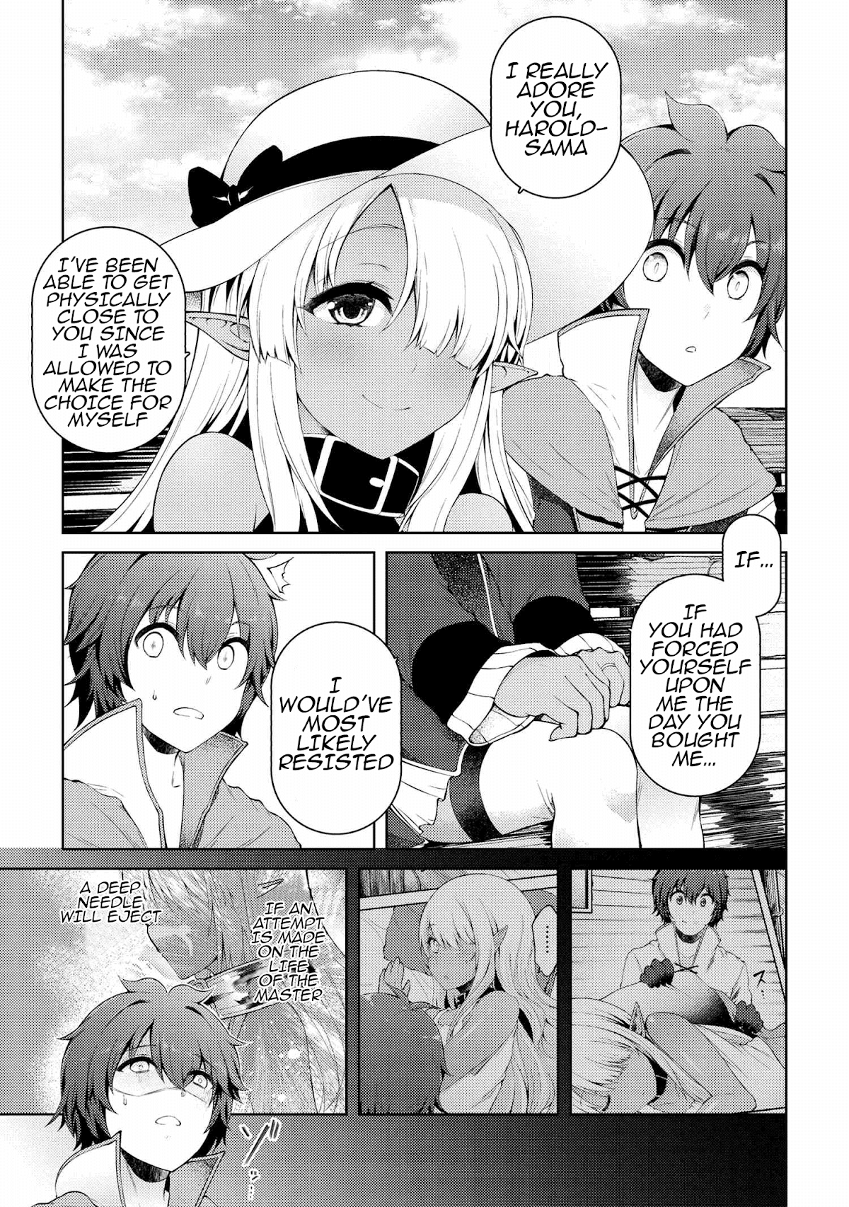 Ie ga Moete Jinsei Dou Demo Yoku Natta kara, Nokotta Nakenashi no Kin de Dark Elf no Dorei o Katta chapter 11.6 - page 17