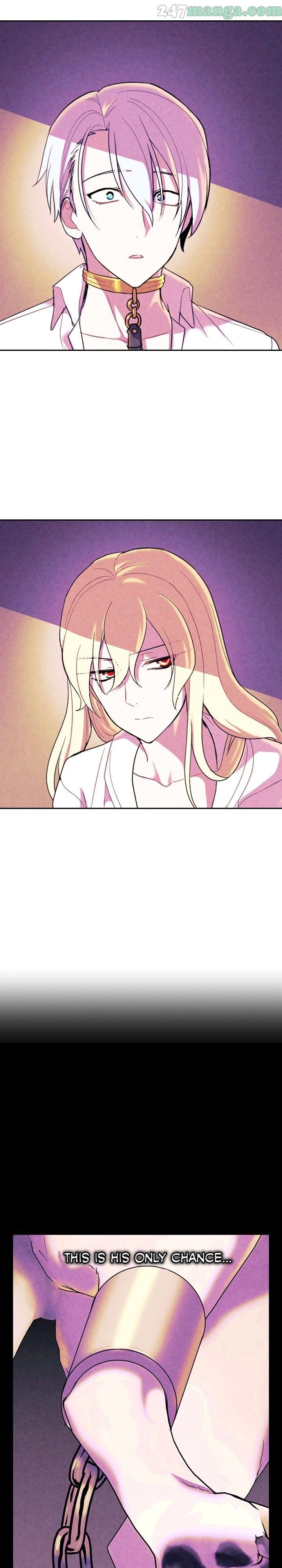 The Predatory Marriage Between the King and the Paladin chapter 28 - page 2